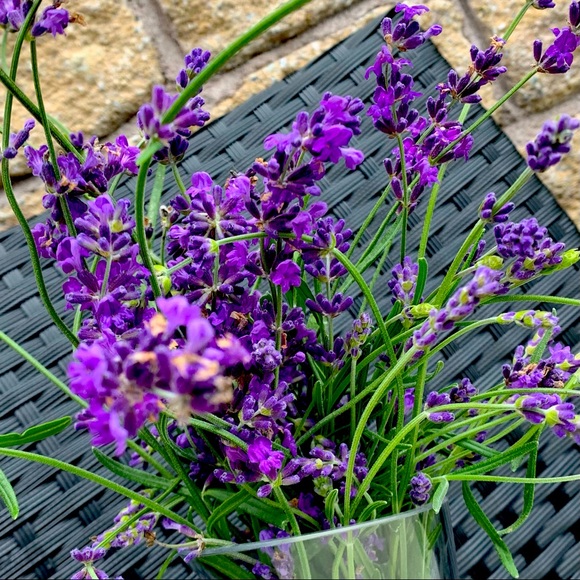 Natural body and bath products 🎁🌿🎁 - Picture 1 of 6